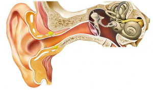 otalgia secundaria, dolor de oido